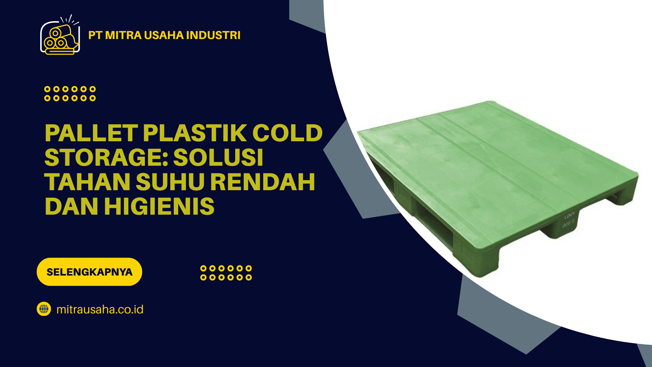 Pallet Plastik Cold Storage: Solusi Tahan Suhu Rendah dan Higienis